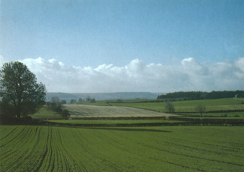 Westwards to Wensleydale postcards